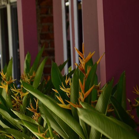 Baronda Guest House Sorong Kültér fotó