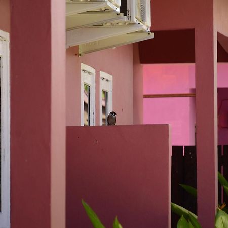 Baronda Guest House Sorong Kültér fotó