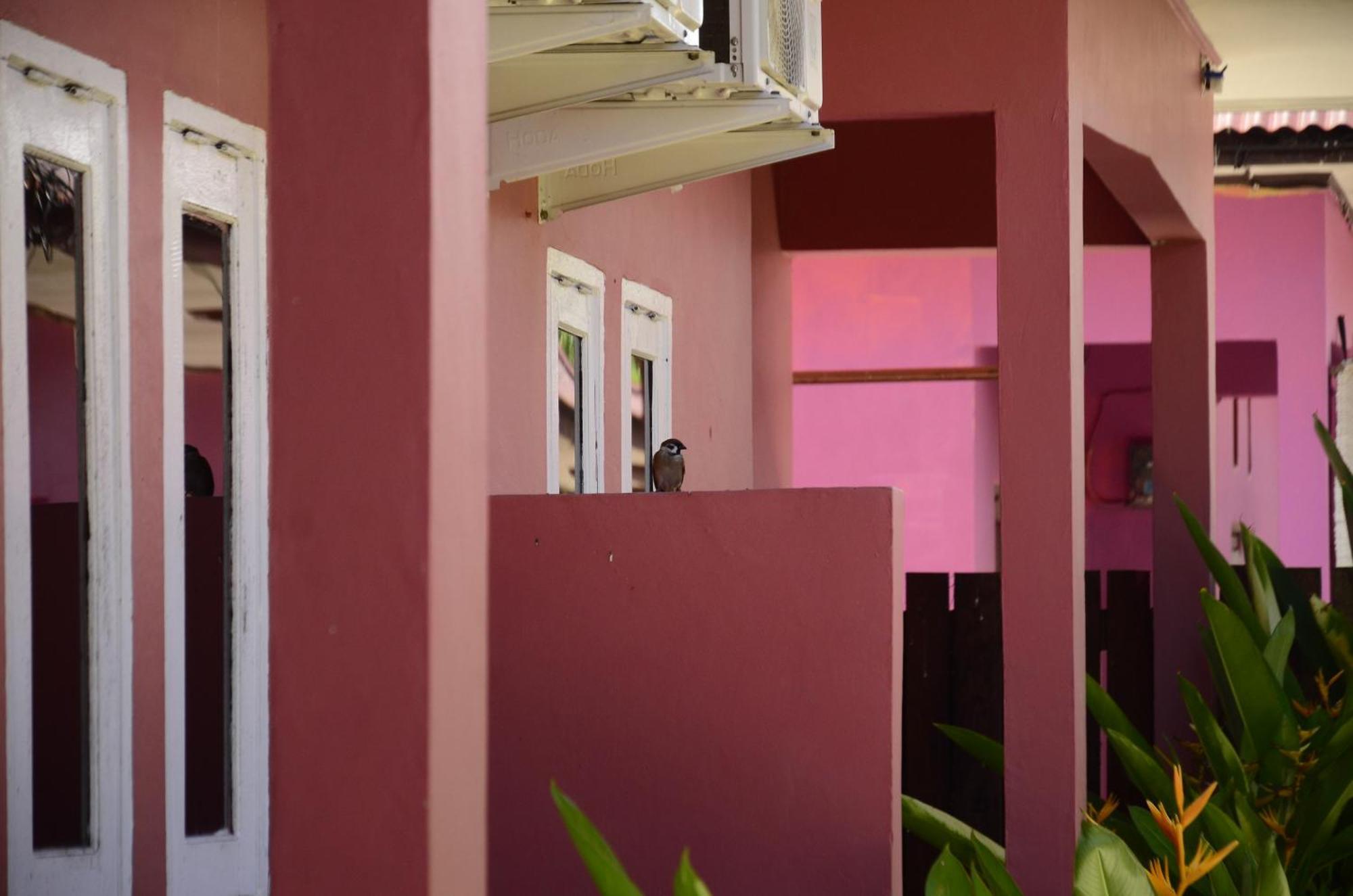 Baronda Guest House Sorong Kültér fotó